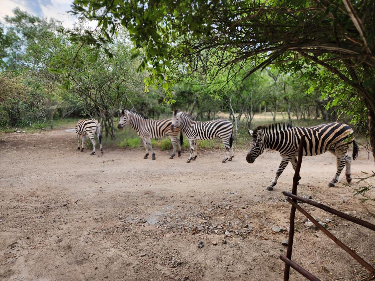 Amare In The Bush With Your Needs! Holiday home