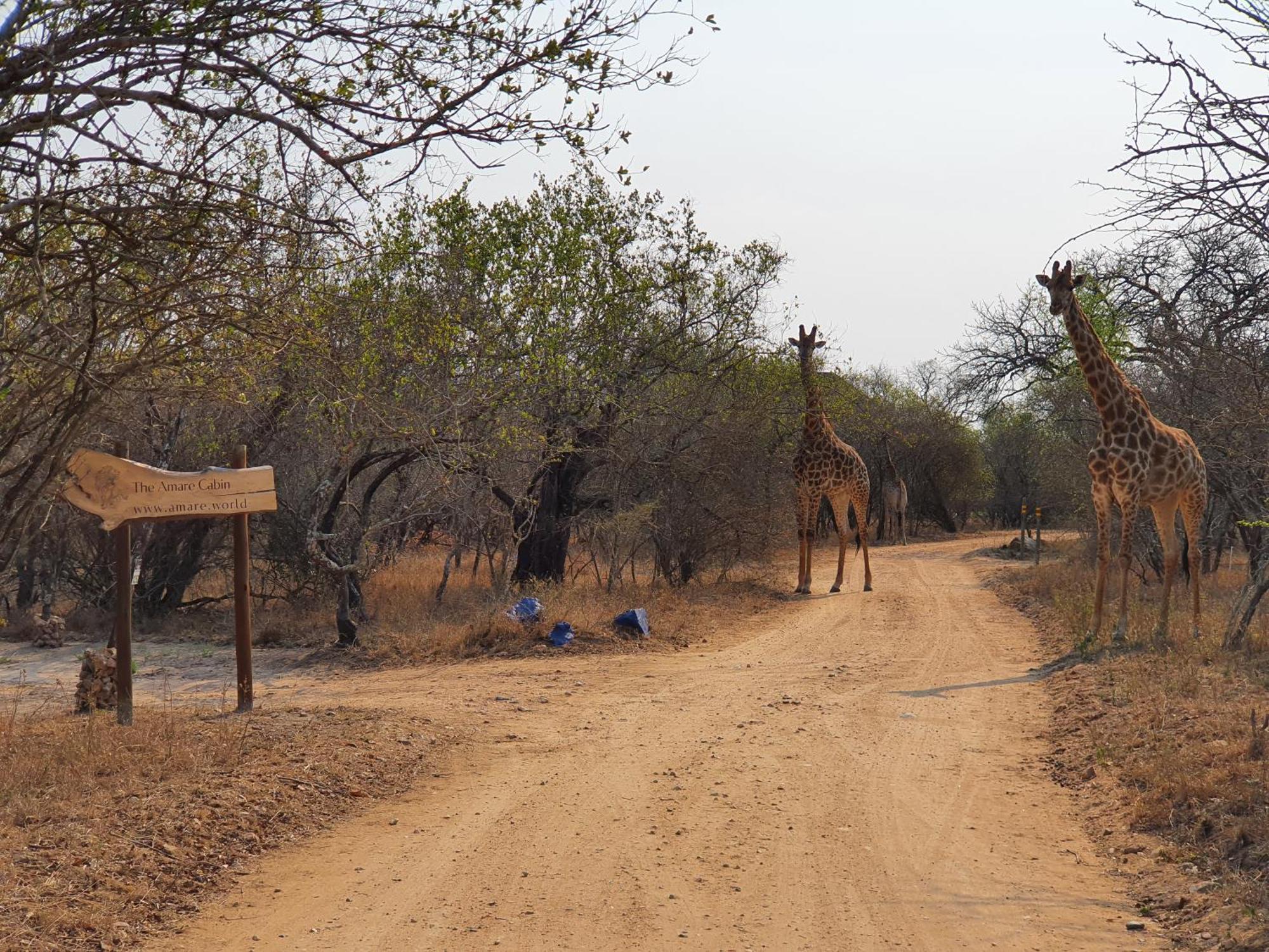 Amare In The Bush With Your Needs! Holiday home