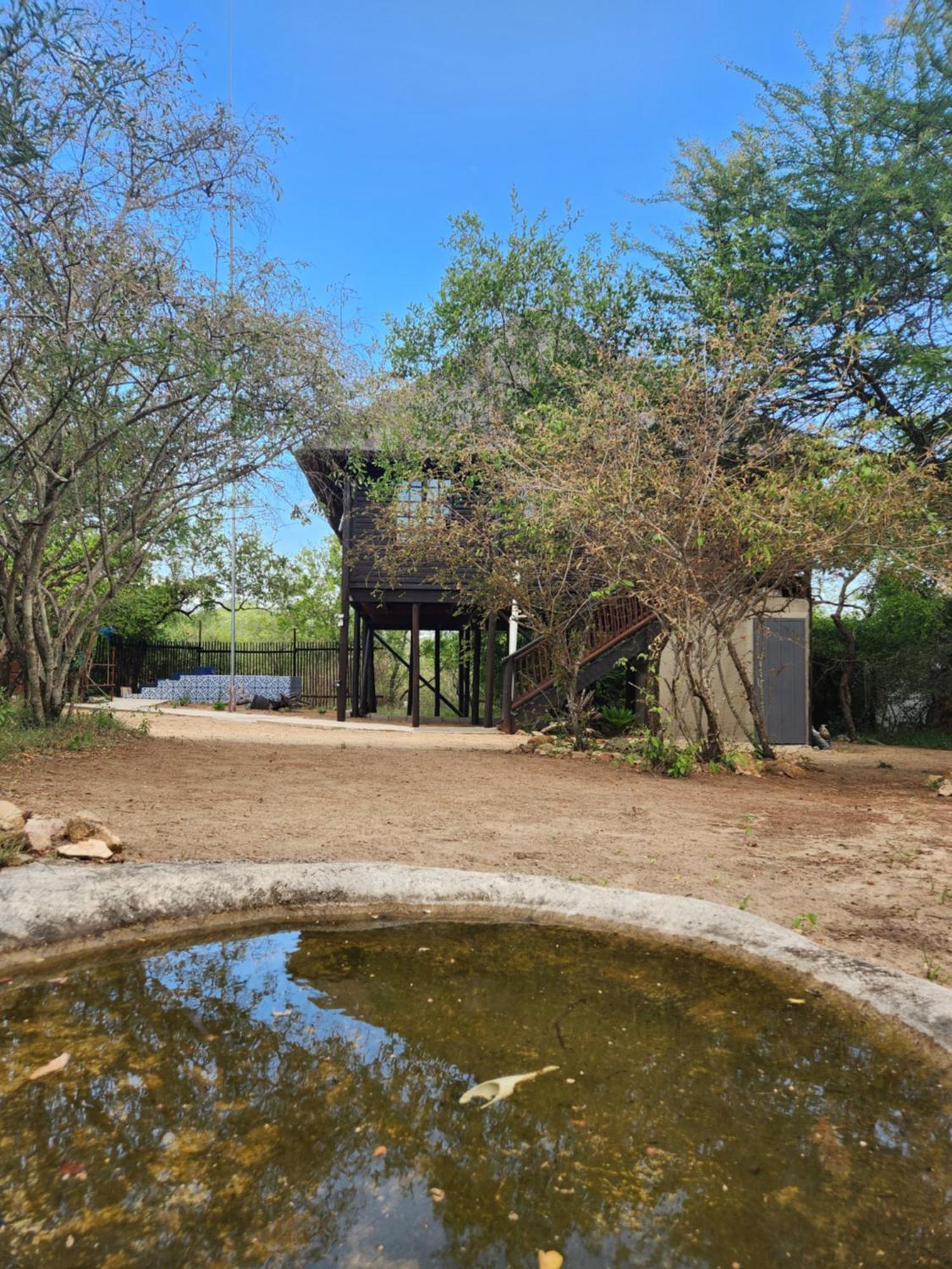Amare In The Bush With Your Needs! Marloth Park