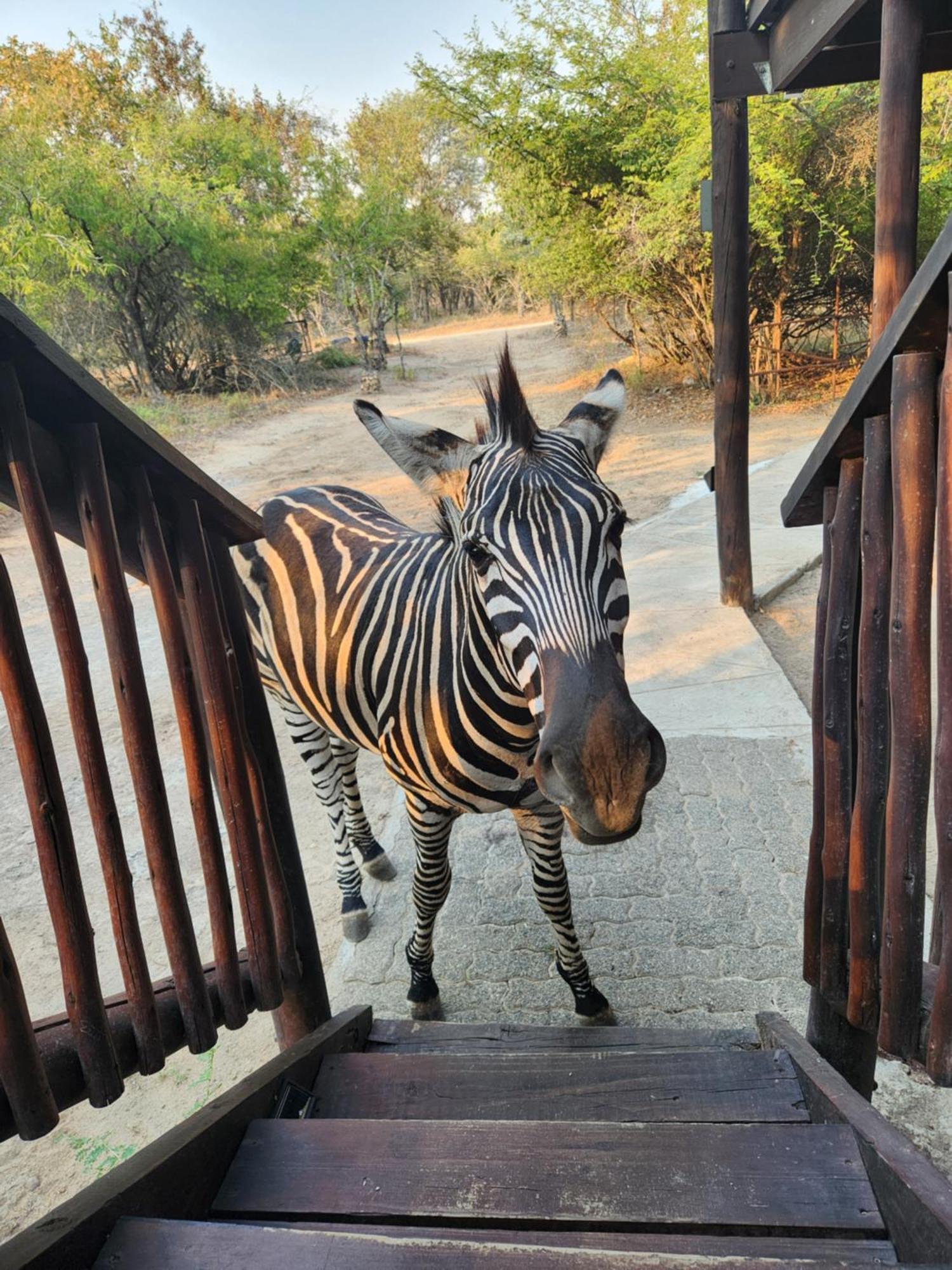 Holiday home Amare In The Bush With Your Needs! *