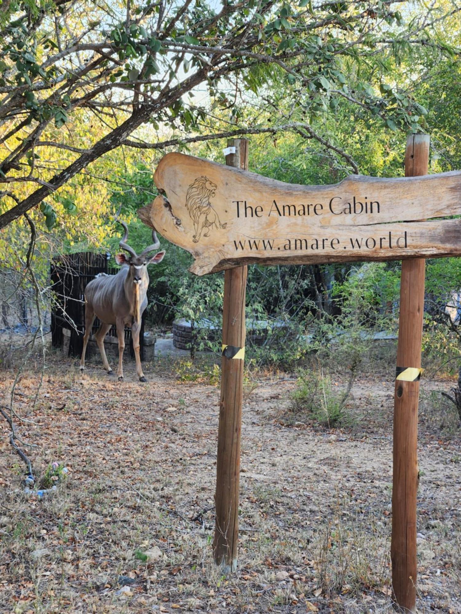 Holiday home Amare In The Bush With Your Needs! Marloth Park
